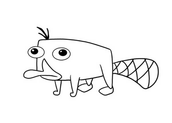 perry mascote da turma