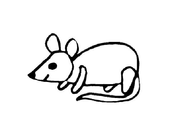 rato rato