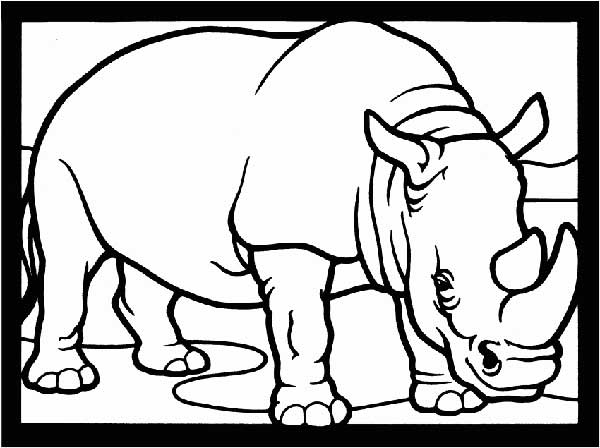 rinoceronte 2 desenhos de Rinoceronte