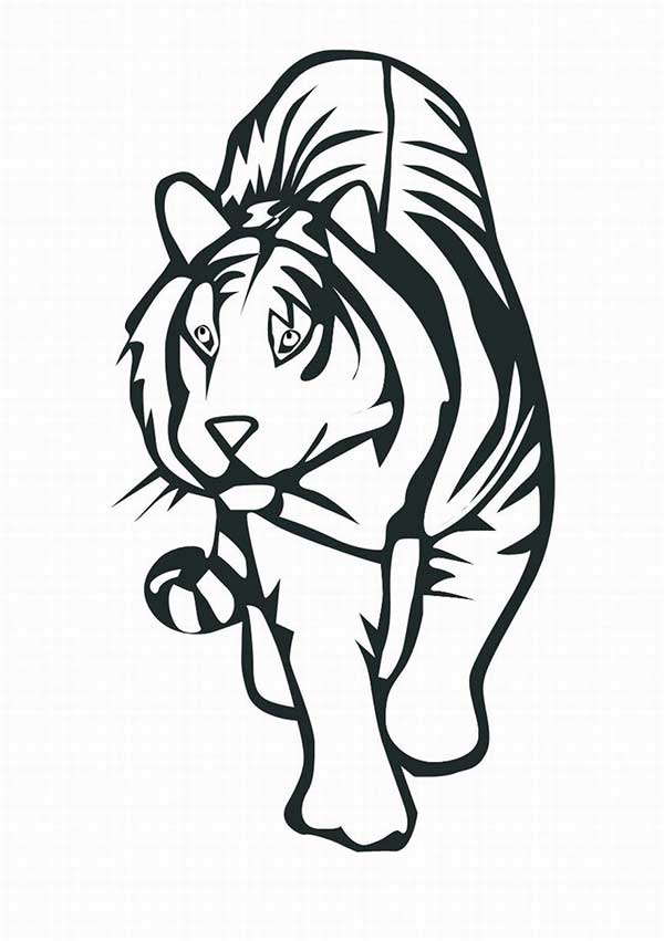 tigre para imprimir desenhos de tigre