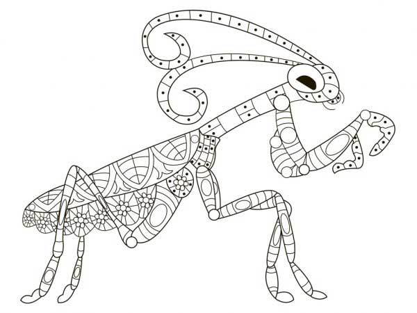 Desenhos de Louva Deus 6 Louva Deus para imprimir