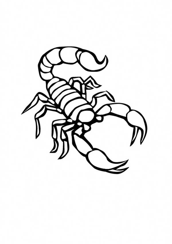Escorpioes 1
