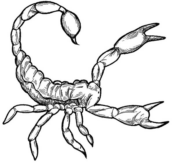 Escorpioes 2