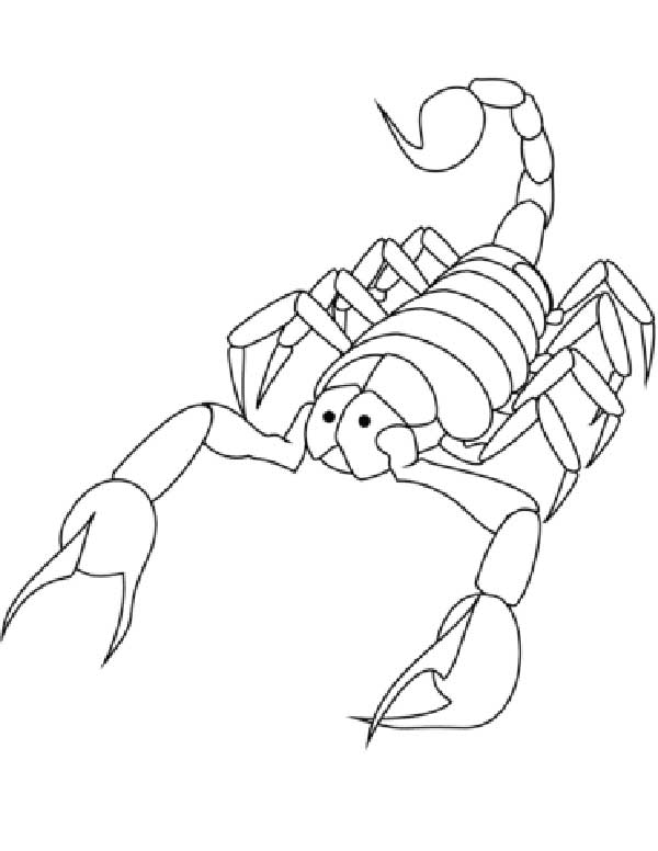 Escorpioes 4