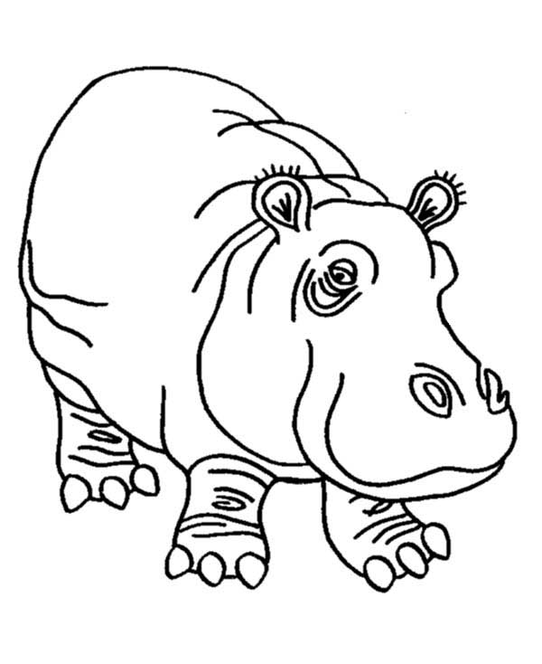 Hipopotamo para pintar em casa 1 desenho legal