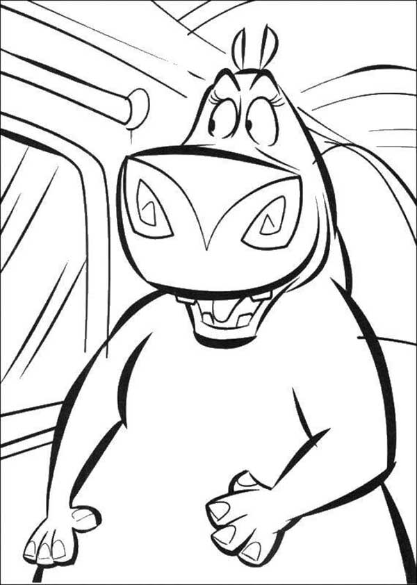 de desenho Desenhos de Hipopótamo