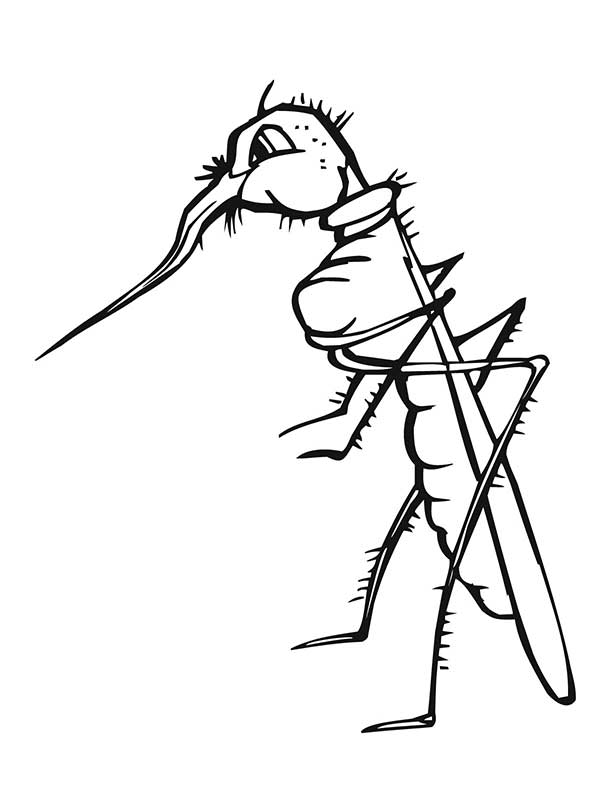 desenho de mosquito para imprimir