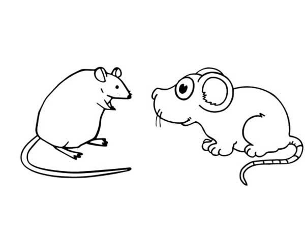 desenhos de ratos 0 desenhos de ratos 0
