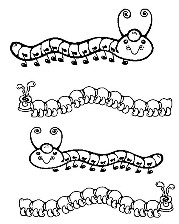 pequenos 1