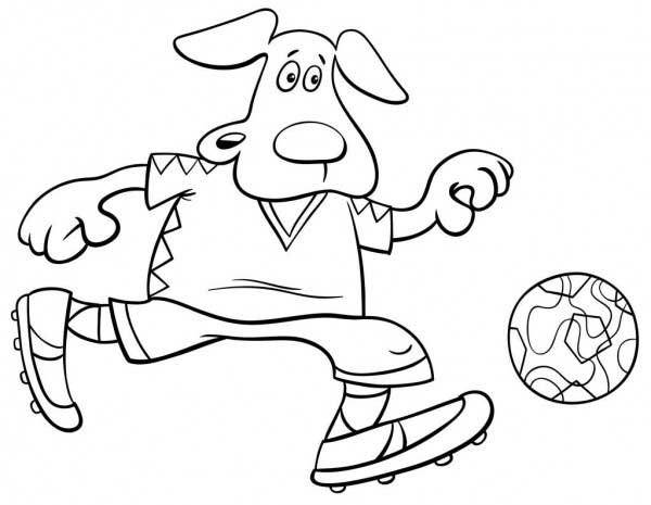 Bola de futebol 5 Bola de futebol 5