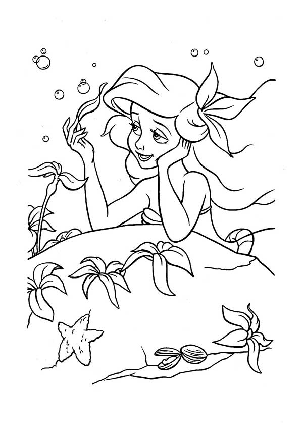 ariel