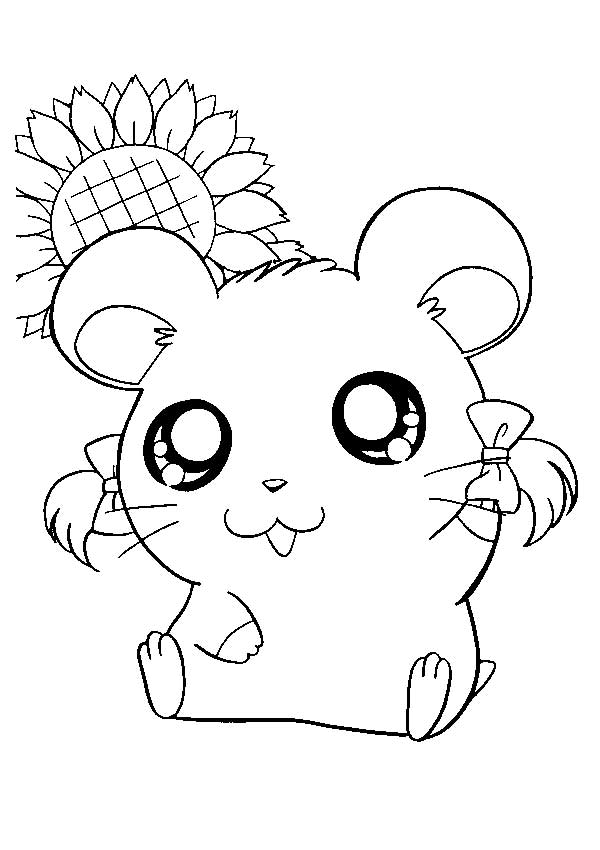 com girassol com girassol