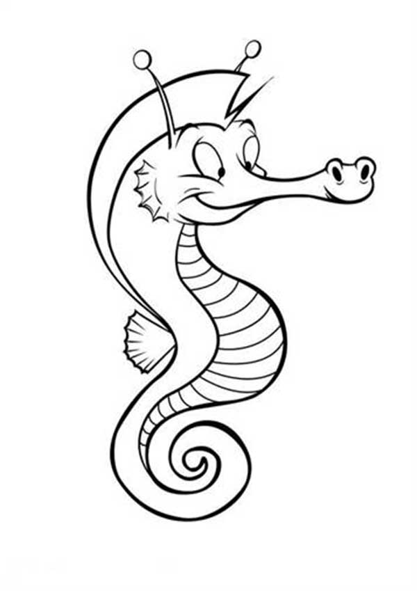 desenho de Cavalo Marinho os mais legais