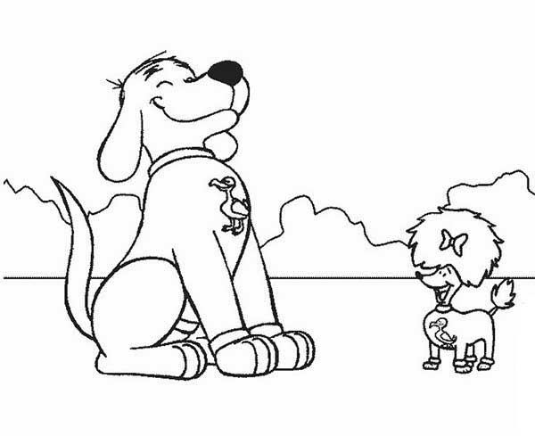 dois dog dois dog