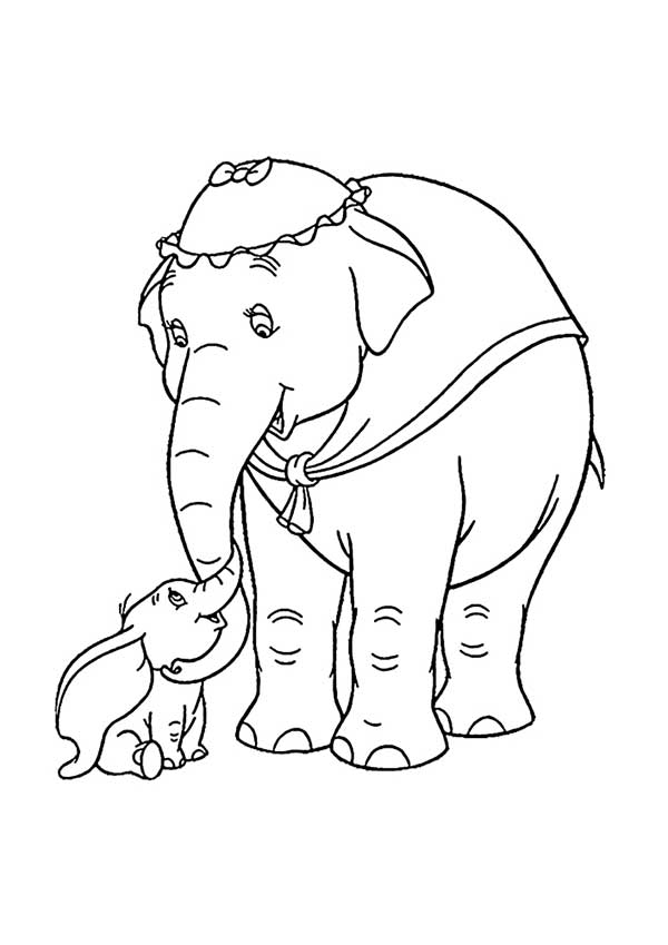 elefante com filhote