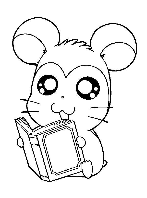 lendo um livro