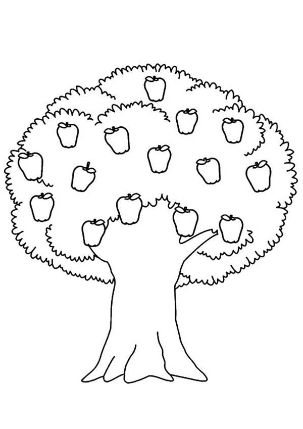 97+ Desenhos de Árvores para Imprimir e Colorir (Atividades Infantis)