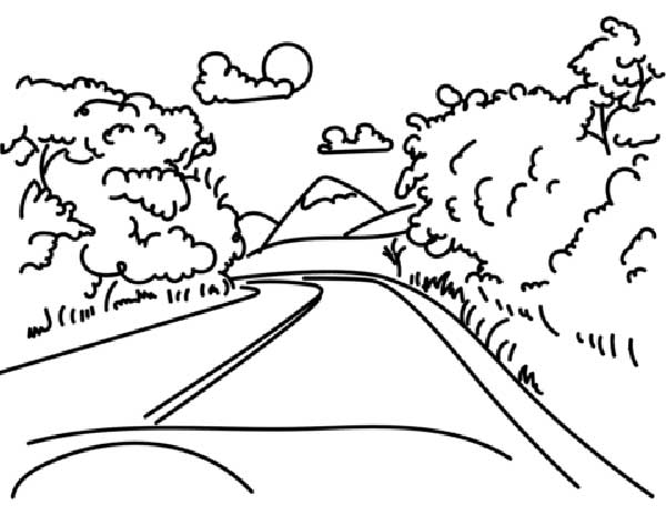 na floresta 2 com árvores