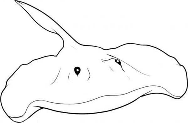 desenho de raia para pintar no fundo do mar