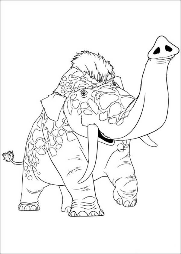 elefante para colorir
