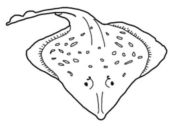 para pintar desenhos de raia