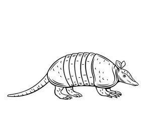 47+ Desenhos de Tatu para Imprimir e Colorir/Pintar