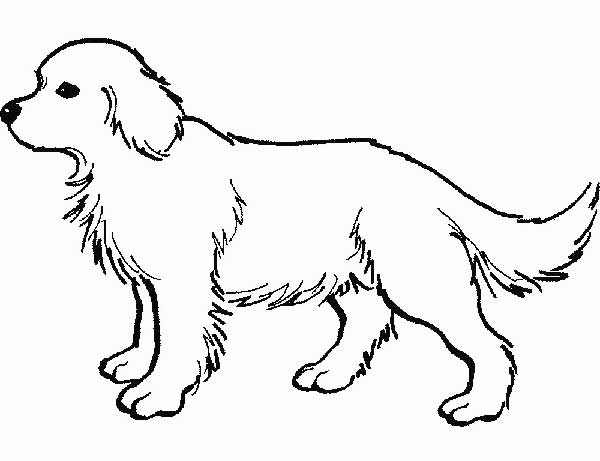 cachorro grande para imprimir Desenhos de cachorros para pintar.