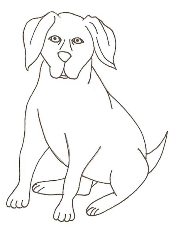 cachorro para pintar Desenhos de cachorros para pintar.
