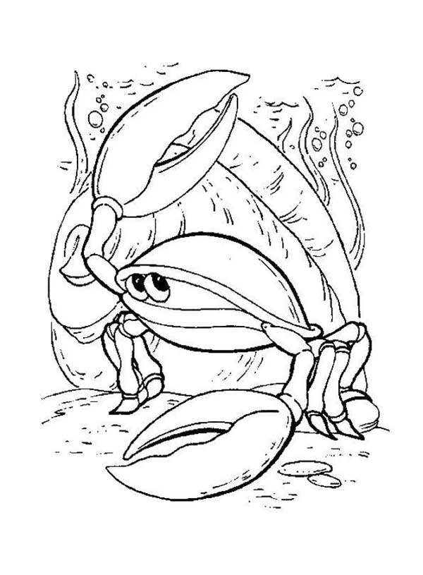 caranguejo para colorir desenhos do Fundo do Mar