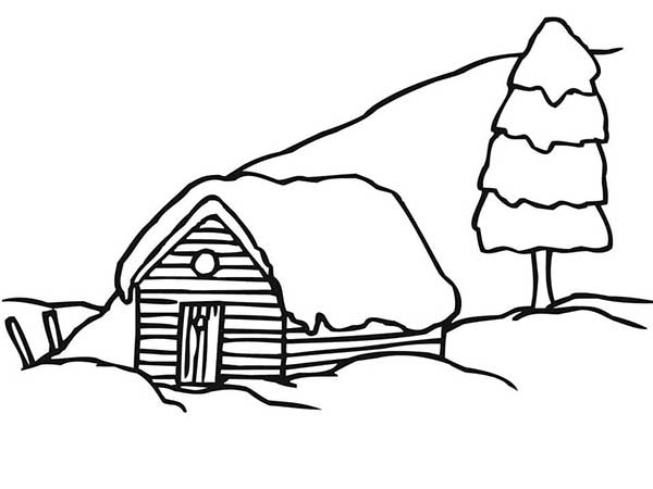 casa com arvore