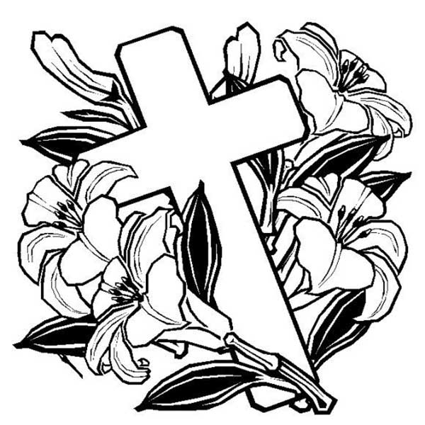 cruz