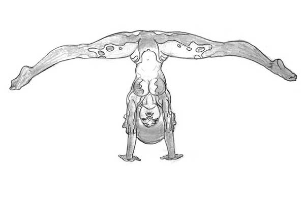 desenhos de capoeira desenhos de capoeira