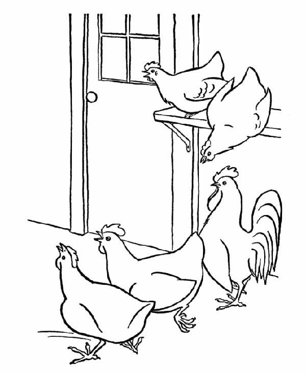 desenhos de galinhas desenhos de galinhas