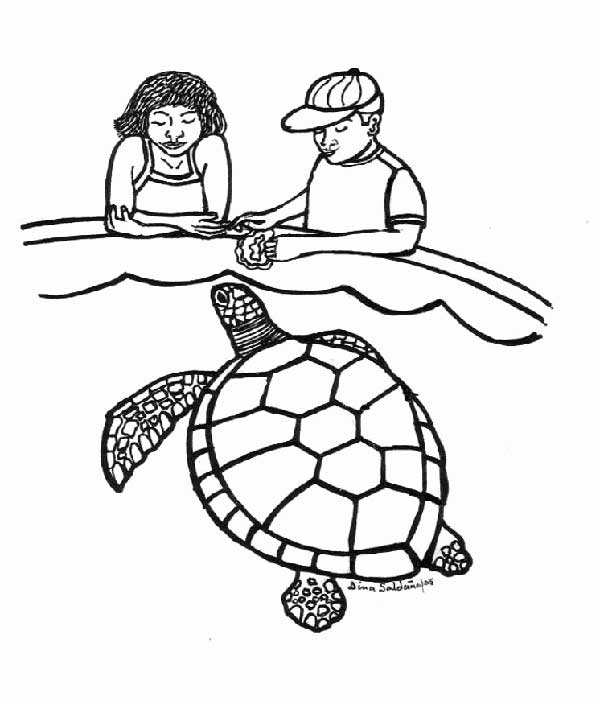 desenhos de jabuti