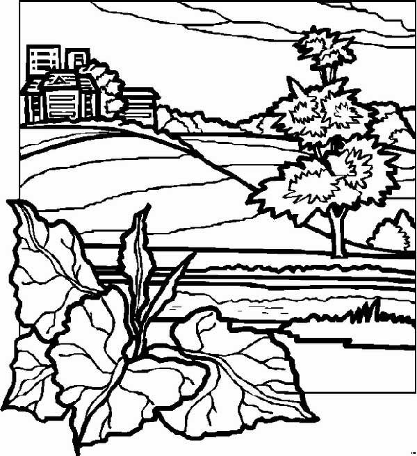 desenhos de paisagens desenhos de paisagens