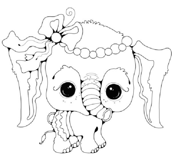 elefante filhote