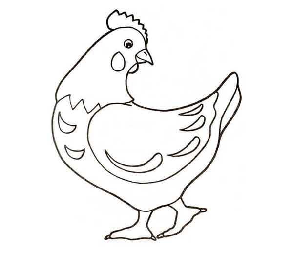 galinha para colorir galinha para colorir
