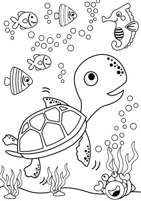 jabuti para colorir
