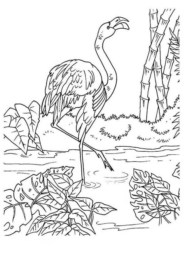 paisagem para colorir paisagem para colorir
