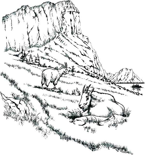 para adultos 3 paisagens para colorir