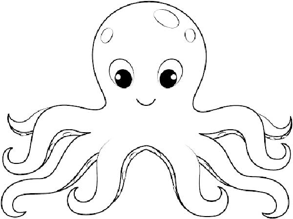 55+ Desenhos de Polvos para Imprimir e Colorir/Pintar