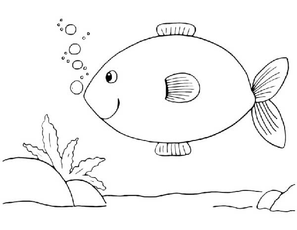 peixe para imprimir