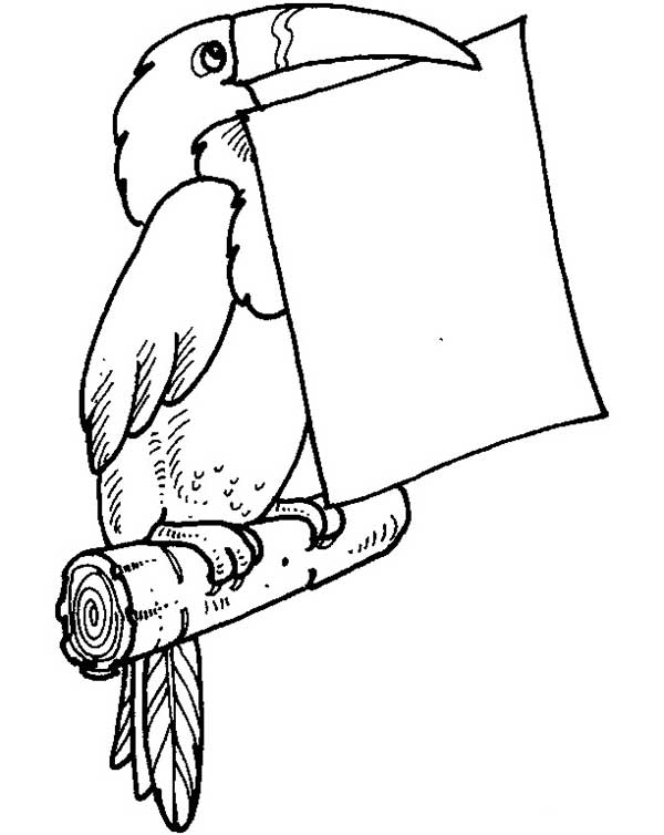pombo correio pombo correio