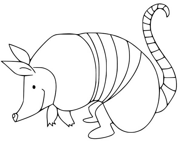 páginas para colorir para download