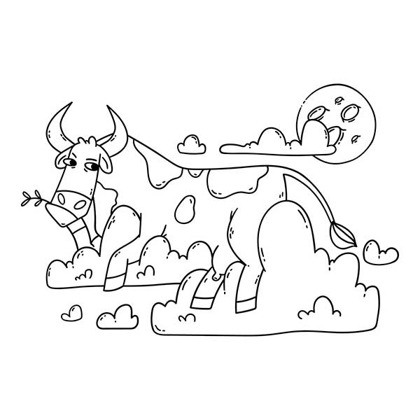 vaca