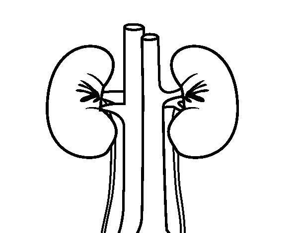 aprendendo biologia ciências para pintar