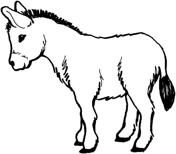 burro para pintar