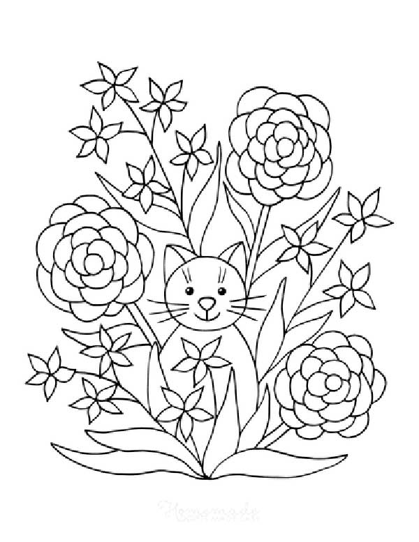 com gato plantas para colorir