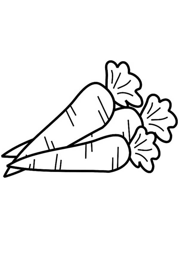 85+ Desenhos de Cenoura para Imprimir e Colorir/Pintar