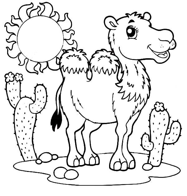 desenho de camelo para pintar desenho de camelo para pintar